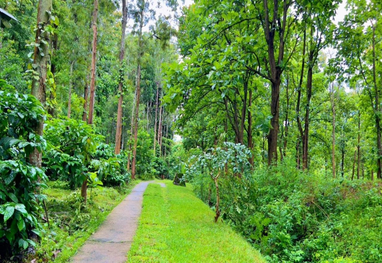 Adrak Mountain Mist Forest Resort Pulpally Dış mekan fotoğraf