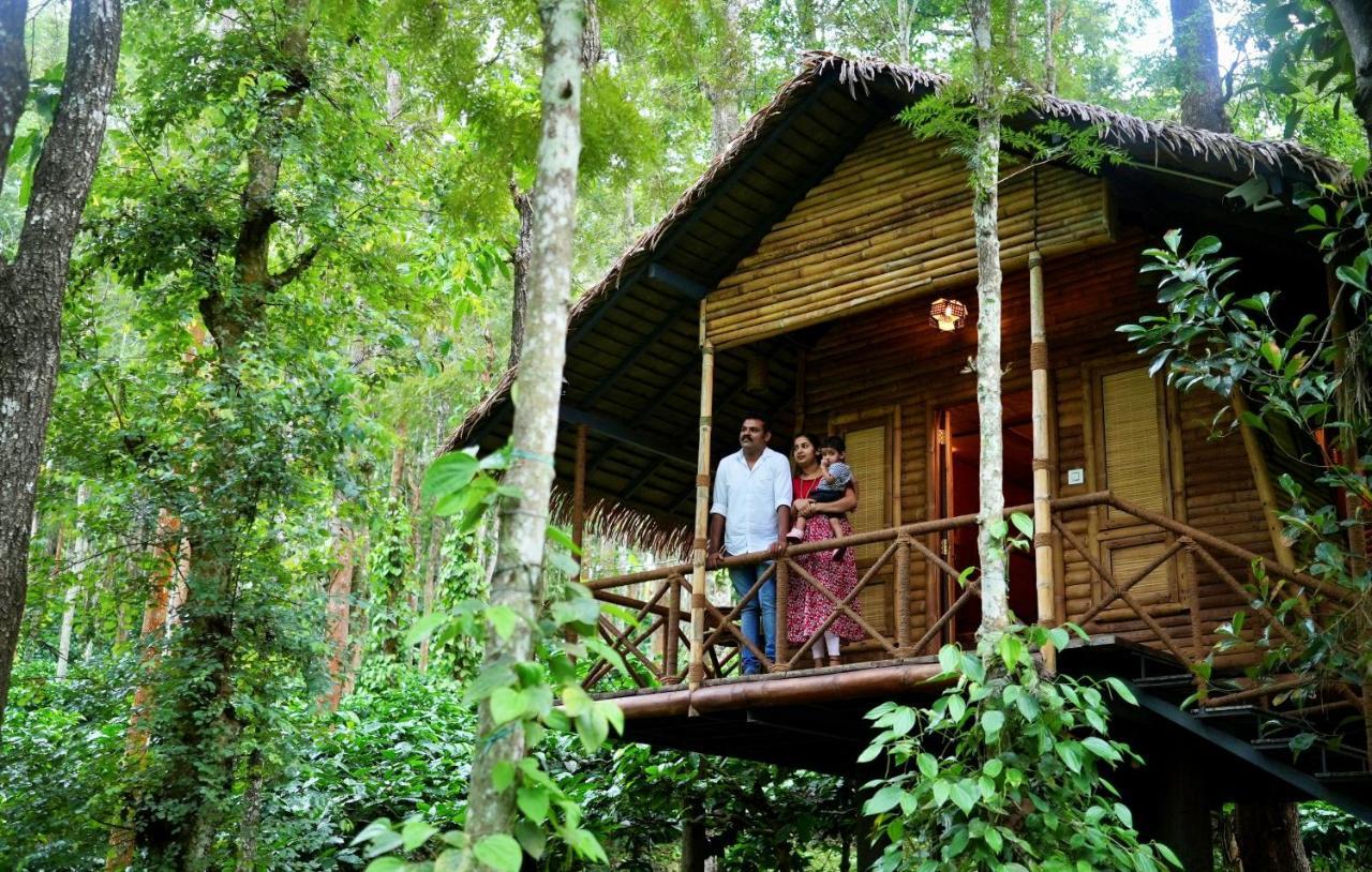 Adrak Mountain Mist Forest Resort Pulpally Dış mekan fotoğraf