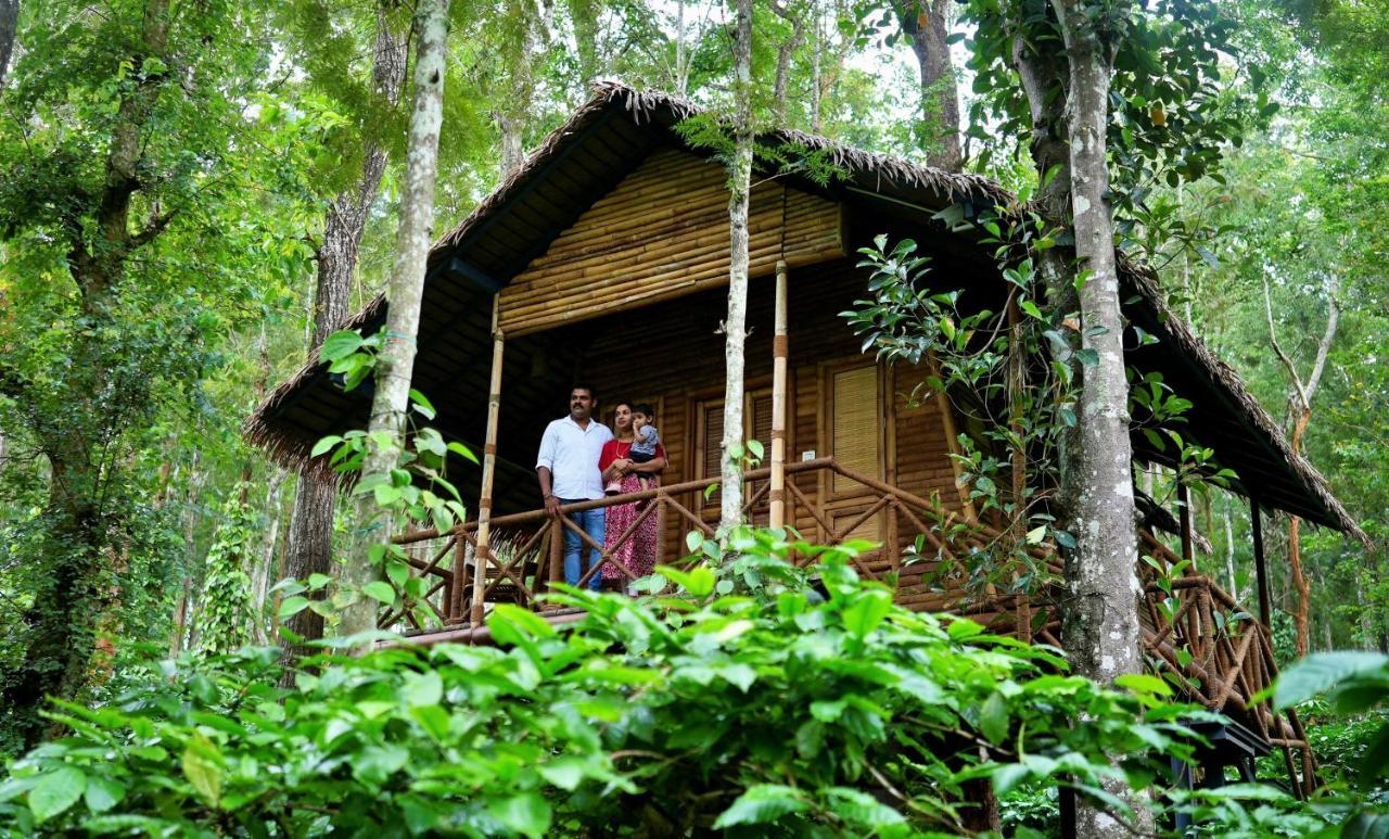 Adrak Mountain Mist Forest Resort Pulpally Dış mekan fotoğraf